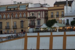 SEVILLA. 23.7.16. Regata de remo, con motivo de la Vela de Triana. FOTO: VANESSA GOMEZ. archsev