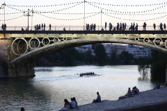 SEVILLA. 23.7.16. Regata de remo, con motivo de la Vela de Triana. FOTO: VANESSA GOMEZ. archsev